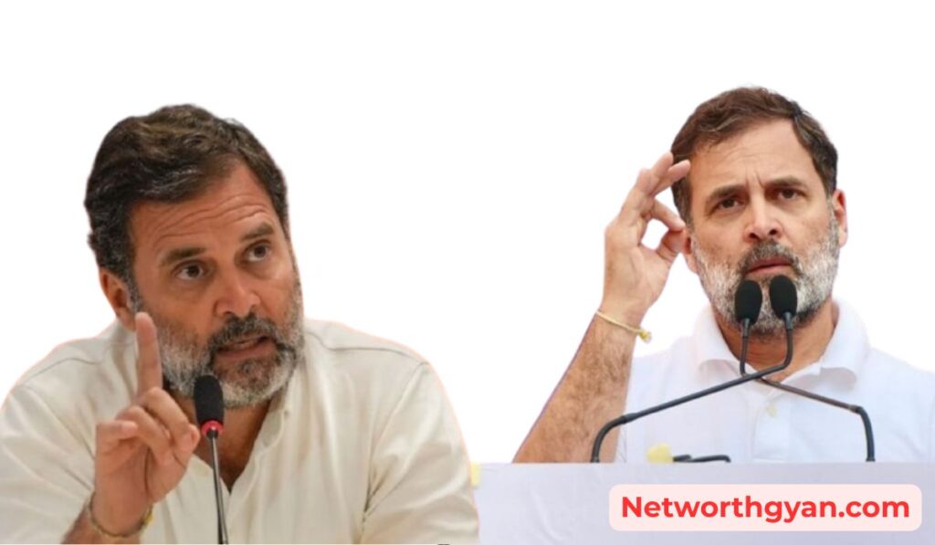 Rahul gandhi net worth