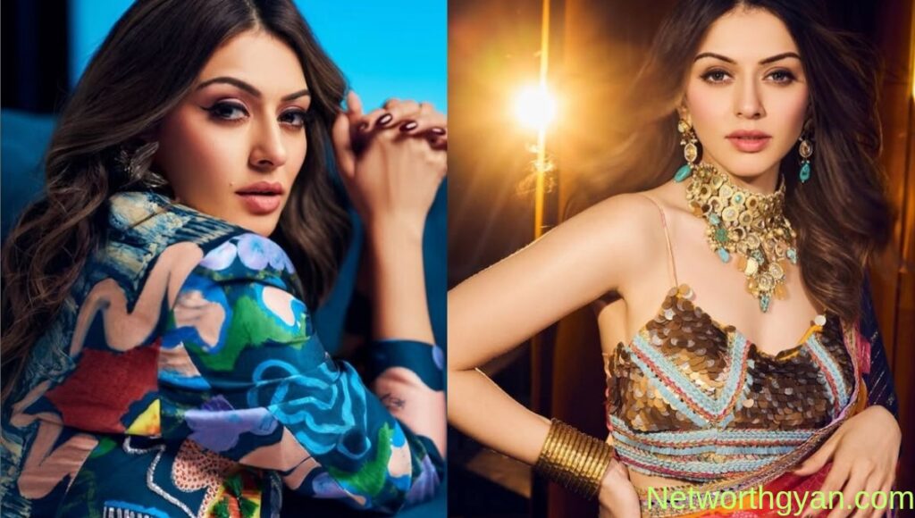 Hansika Motwani Net Worth 2025