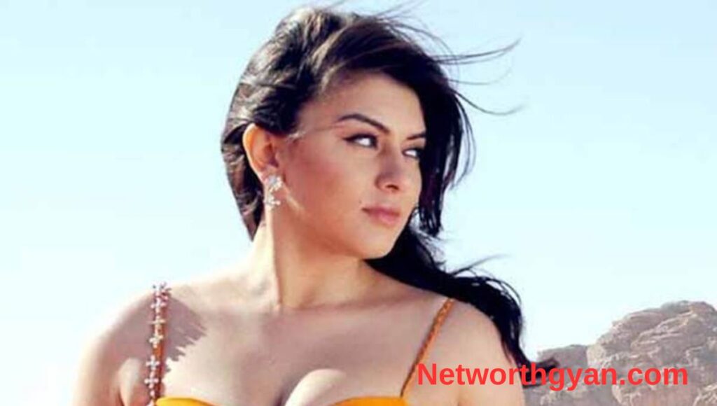 Hansika Motwani Net Worth 2025